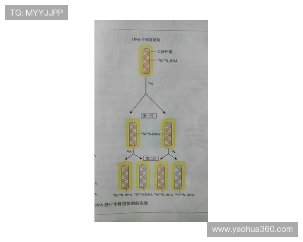 帕利尼亚在攻防转换中的破坏作用解析